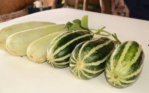 娱乐吃瓜718网红瓜,娱乐吃瓜盛宴，揭秘网红圈幕后故事